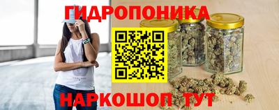 ALPHA PVP Заволжье