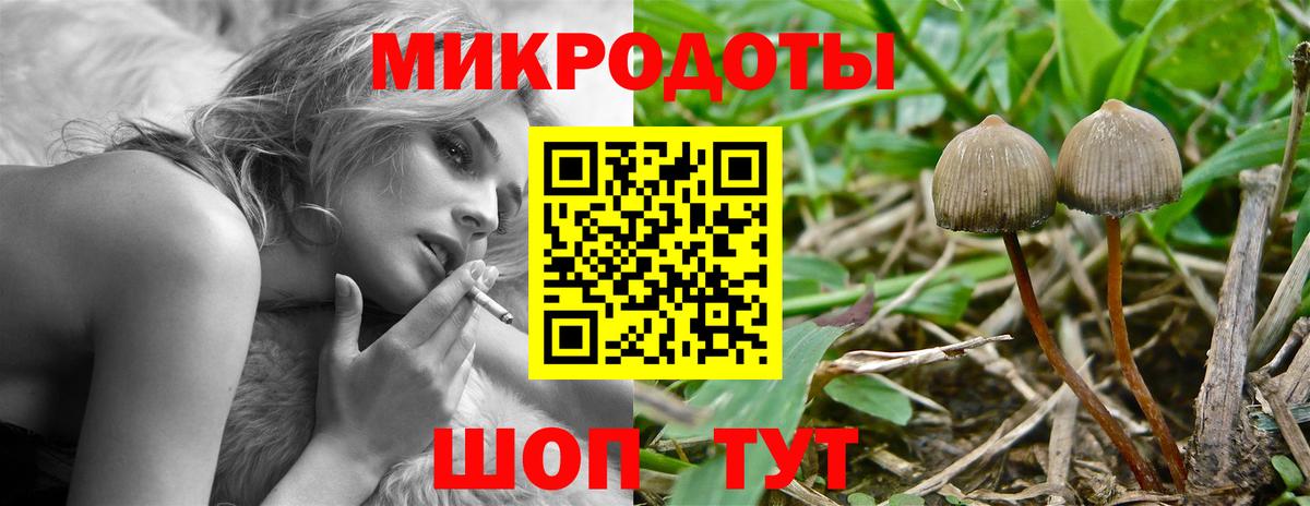 Галлюциногенные грибы Magic Shrooms Чехов